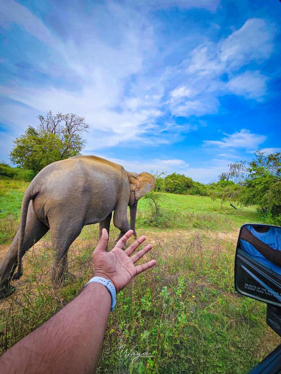 Maka Safari Village Resort Udawalawe Eksteriør bilde