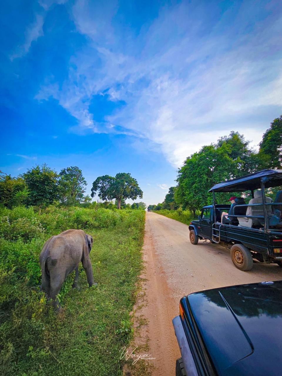 Maka Safari Village Resort Udawalawe Eksteriør bilde